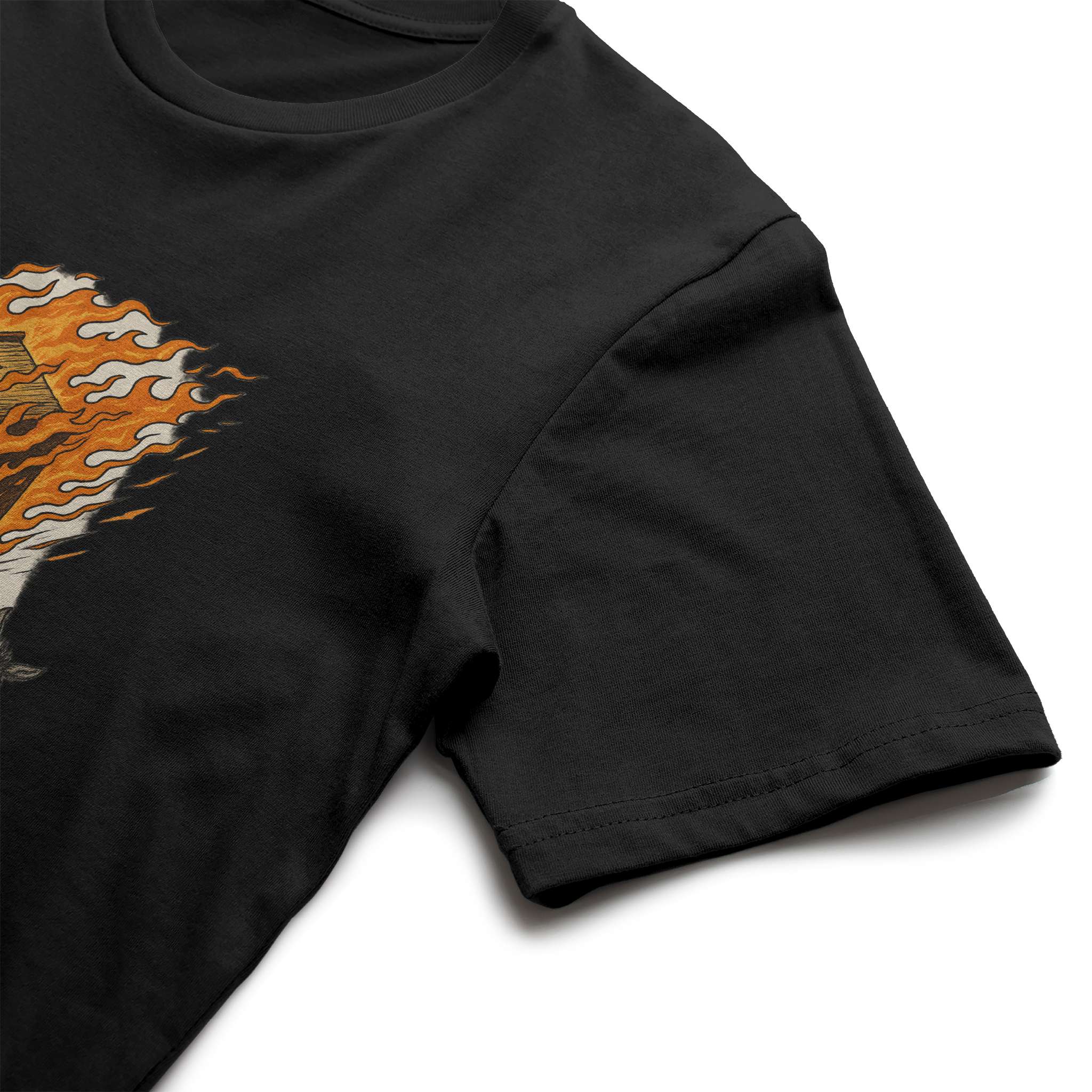 Anti-literacy donkey